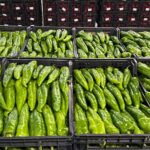 almira-productor-proveedor-de-pimientos-verdes-y-rojos-axarquia-velez-malaga