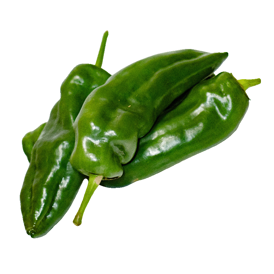 pimiento-italiano-velez-malaga-axarquia-almira