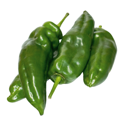 pimiento-italiano-verde-velez-malaga-axarquia-almira