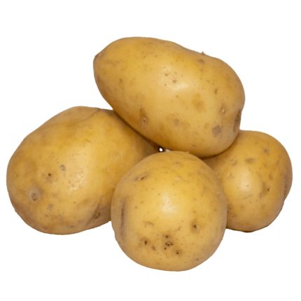 productor-proveedor-exportador-patata-velez-malaga-axarquia-almira
