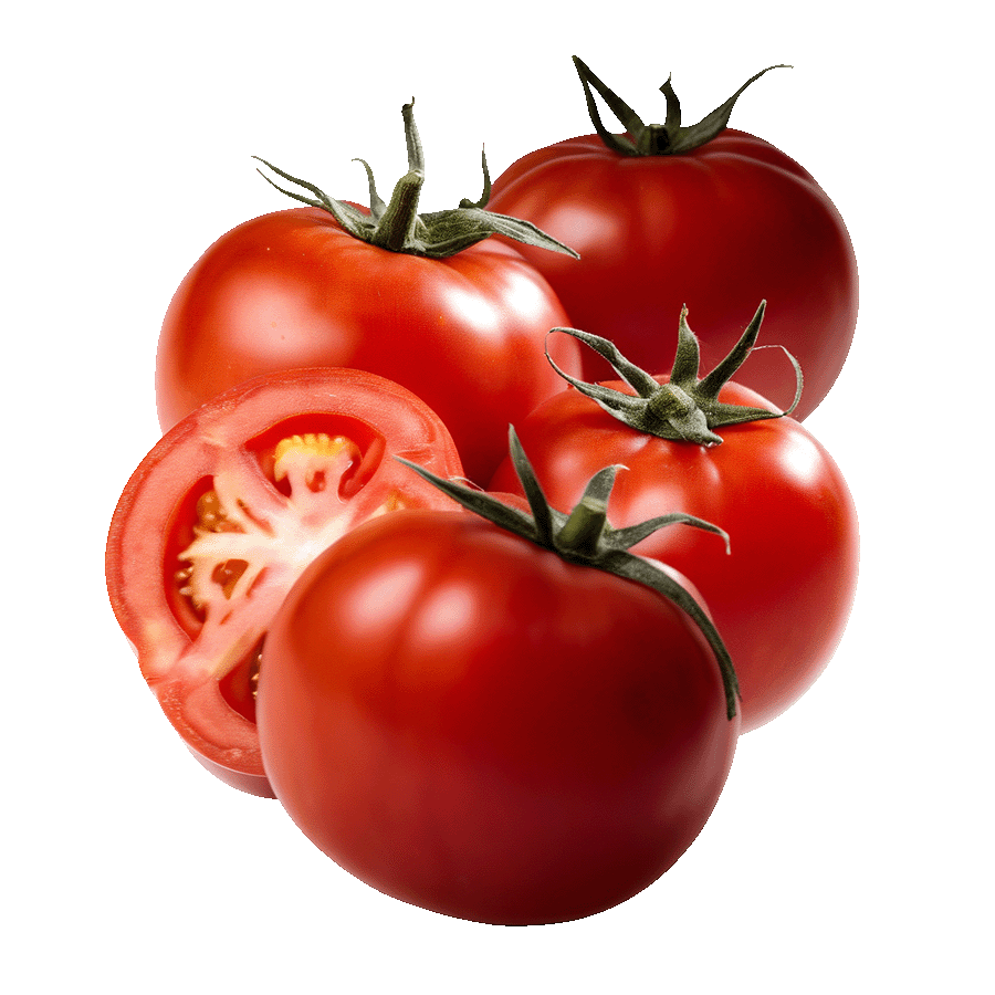 tomate-daniela-rojo-axarquia-velez-malaga