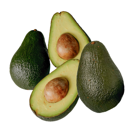 aguacate-hass-velez-malaga-axarquia
