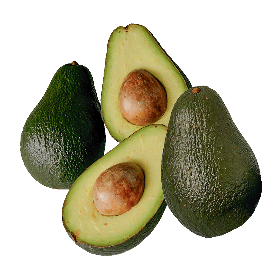 aguacate-hass-velez-malaga-axarquia aguacate-hass-velez-malaga-axarquia