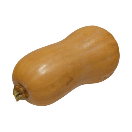calabaza-violin-velez-malaga-axarquia-almira