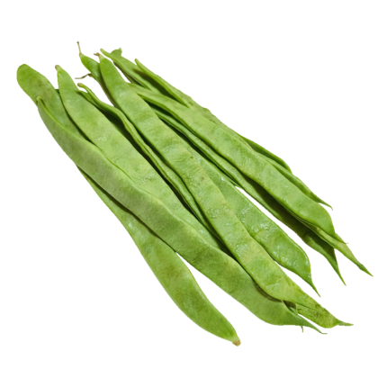 judias-habichuelas-velez-malaga-axarquia-almira-1