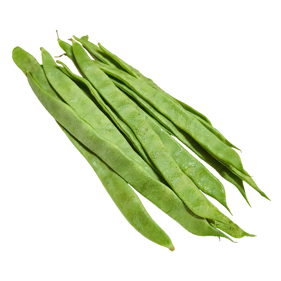 judias-habichuelas-velez-malaga-axarquia-almira-1 judias-habichuelas-velez-malaga-axarquia-almira-1