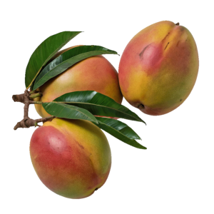 mango-irwin-axarquia-velez-malaga