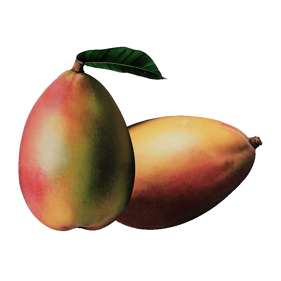 mango-keitt-axarquia-velez-malaga