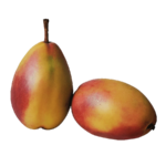 mango-kent-axarquia-velez-axarquia-costa-del-sol