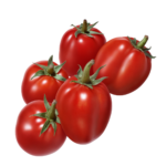 racimo-tomate-pera-velez-malaga-axarquia