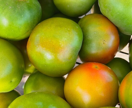 tomate-ensalada-almira-velez-malaga-axarquia
