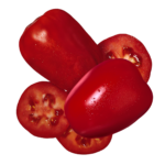 tomate-pera-almira-velez-malaga-axarquia